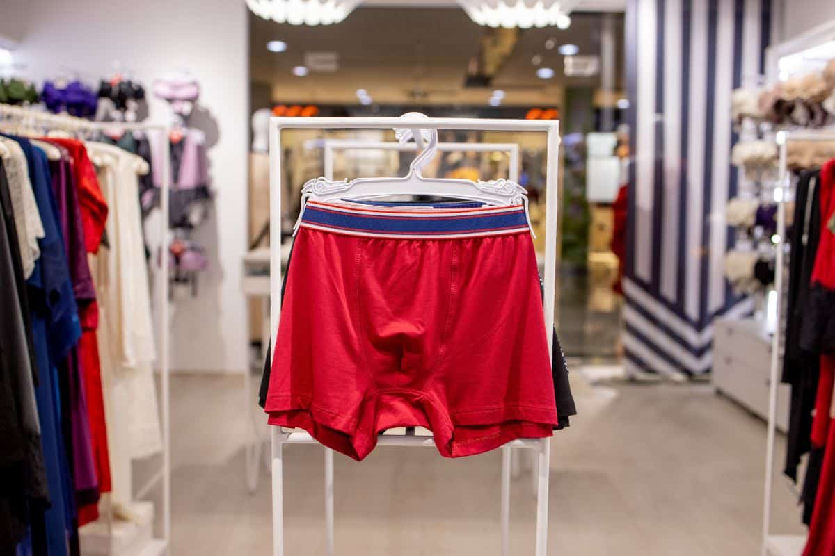 The Men's Underwear Index as an Economic Indicator